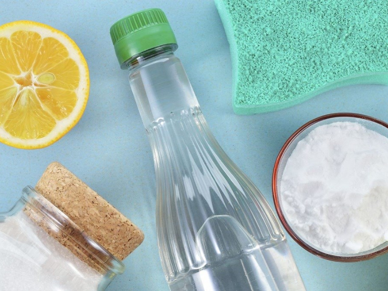 Hộp cơm giữ nhiệt bị mốc phải làm sao