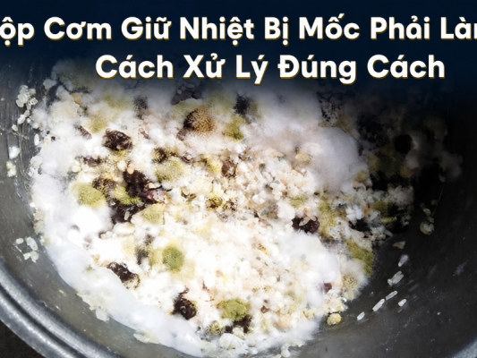 Hộp cơm giữ nhiệt bị mốc phải làm sao
