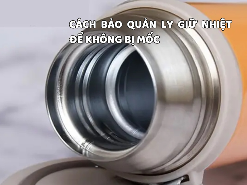 Cách bảo quản ly giữ nhiệt để không bị mốc giúp ly luôn sạch, khô thoáng và hạn chế nấm mốc phát triển sau mỗi lần sử dụng.