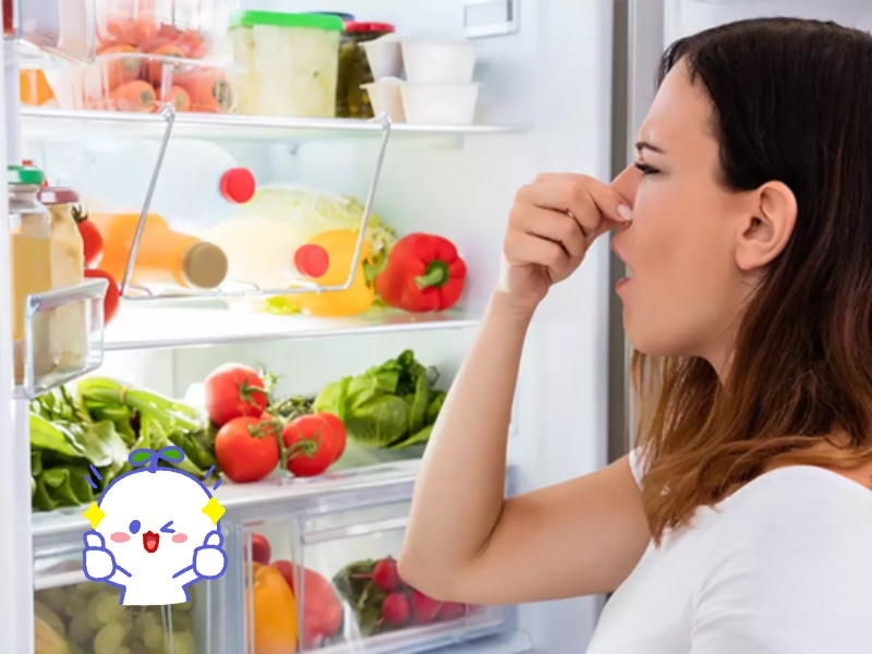 Hộp cơm giữ nhiệt mới mua có mùi có thể được xử lý bằng các phương pháp làm sạch đơn giản tại nhà.