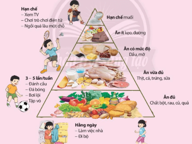 Khám phá thực đơn cơm hộp cho học sinh với những món ăn đơn giản, dễ chuẩn bị và phù hợp cho bữa trưa ở trường.
