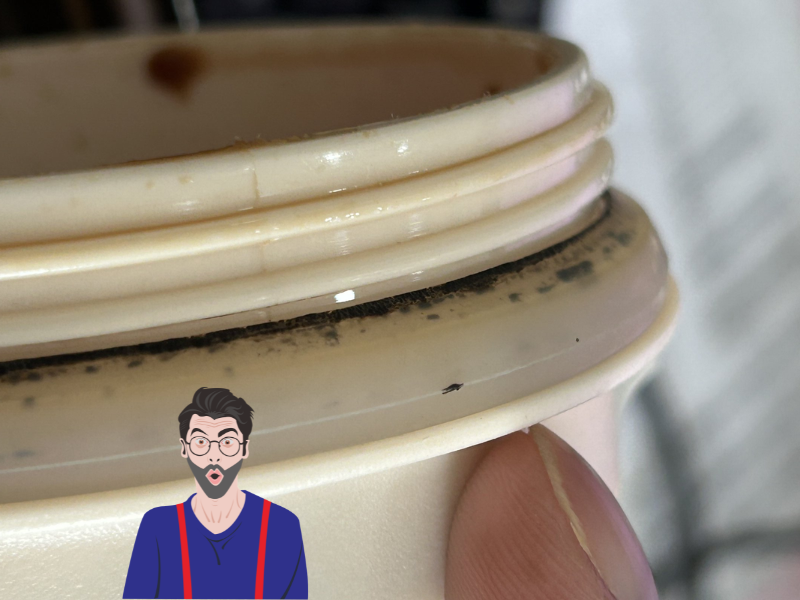 Giải đáp ly giữ nhiệt bị mốc phải làm sao cùng những lưu ý khi vệ sinh ron silicon, nắp và các vị trí dễ tích tụ cặn bẩn.